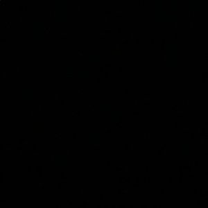 Meet your Posher, Fawn